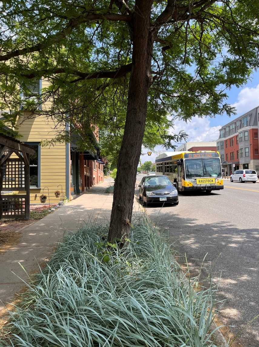 Street view from the sidewalk showing a tree and decorative grasses, representing a moderate maintenance landscaping approach.