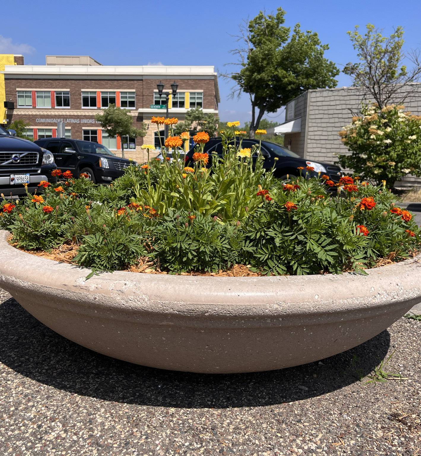 Sidewalk aesthetic features with a large planter bowl filled with vibrant orange and red flowers and lush greenery on East 7th Street.