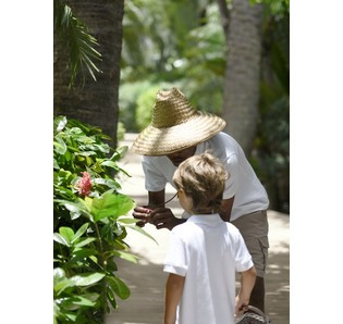 Spa Garden Pathway at Cheval Blanc St Barth for Relaxation and Wellness