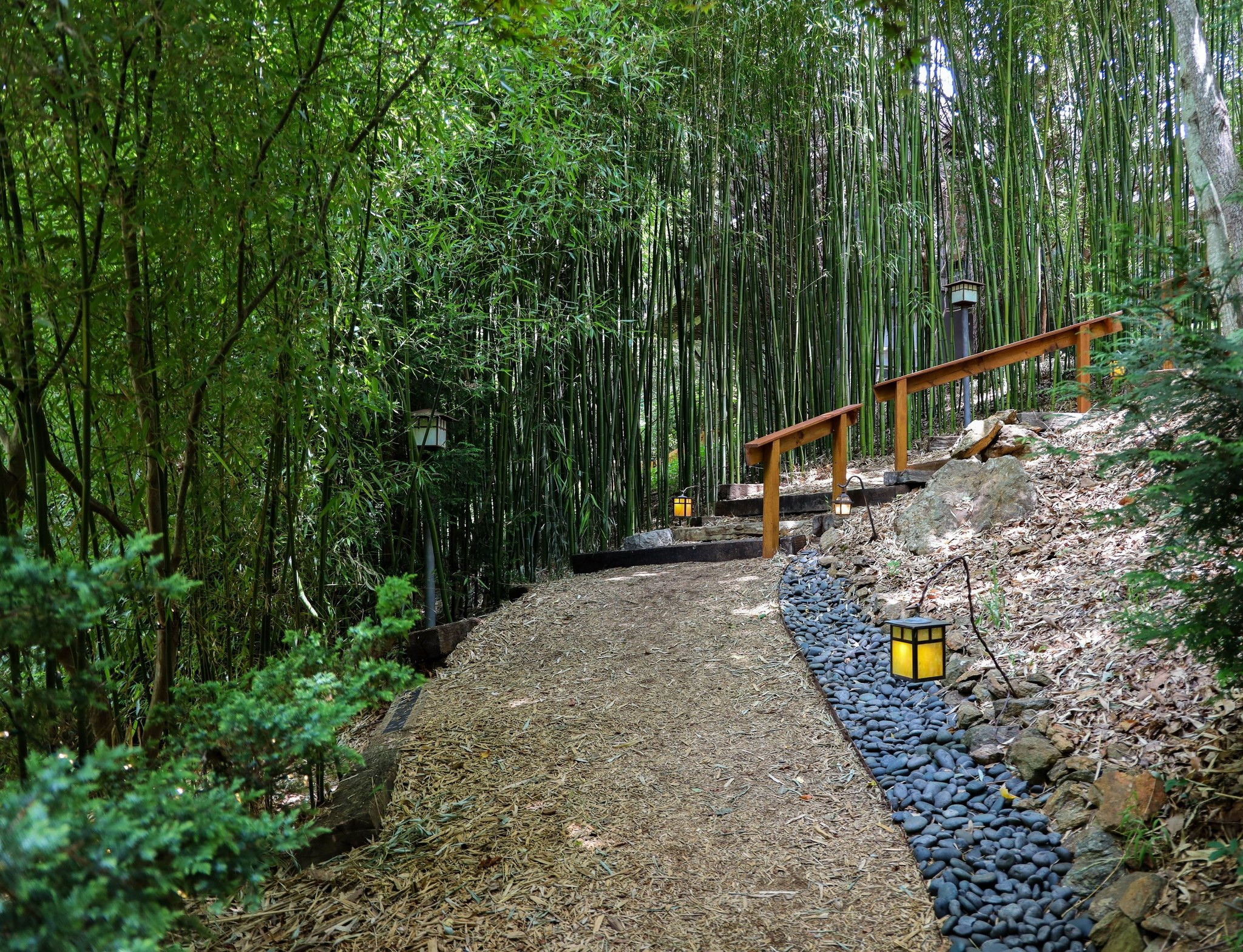 Pathway to private hot tub at Shoji Spa and Lodge surrounded by lush greenery