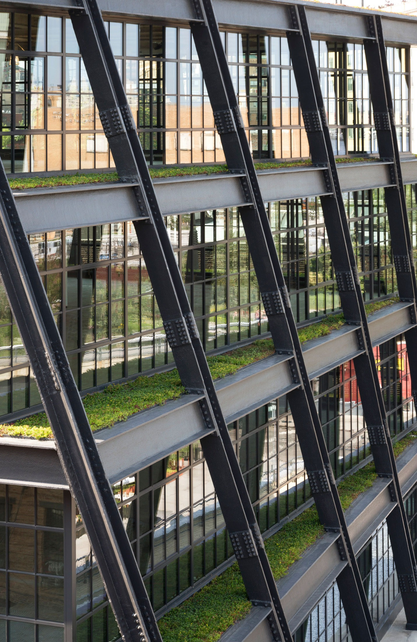 Native plants integrated into the design of 837 Washington building