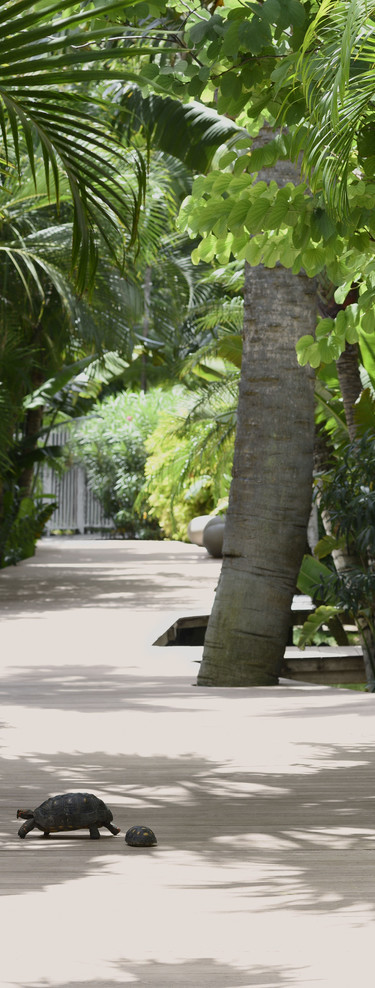 Luxury Deck Overlooking Tropical Gardens at Cheval Blanc St Barth