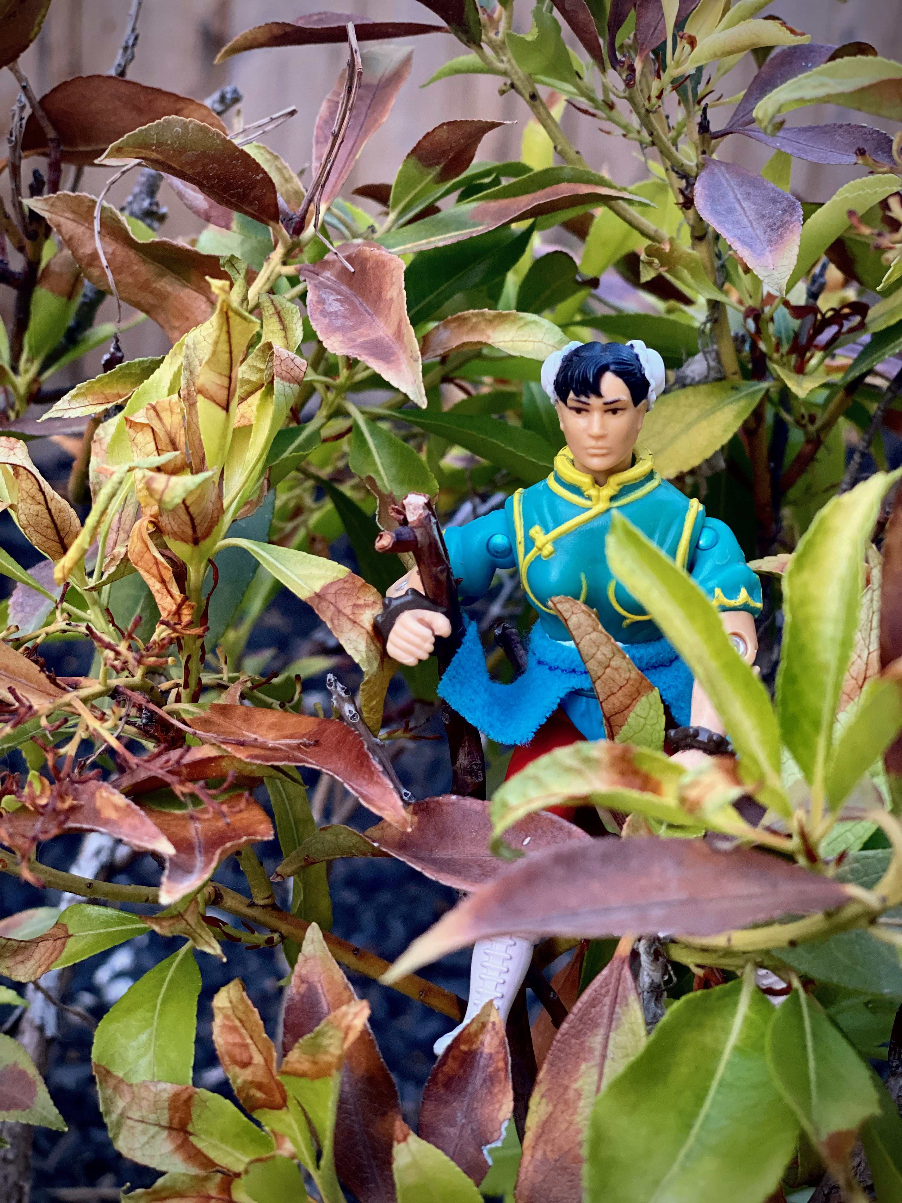 Street Fighter movie Chun-Li toy posed at a casual birthday celebration, captured by Steve