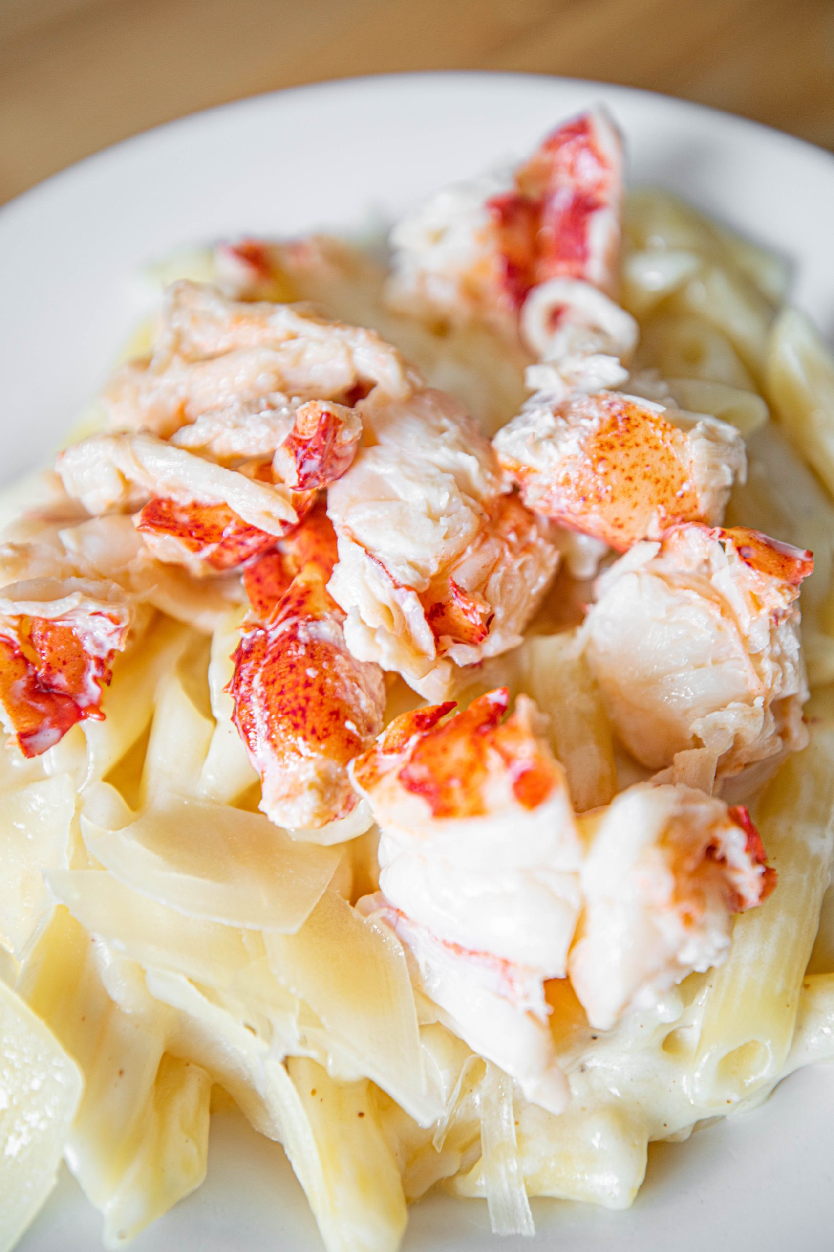 A steaming plate of Lobstah Gluten-Free Macaroni and Cheese at Side Street Café Bar Harbor Maine