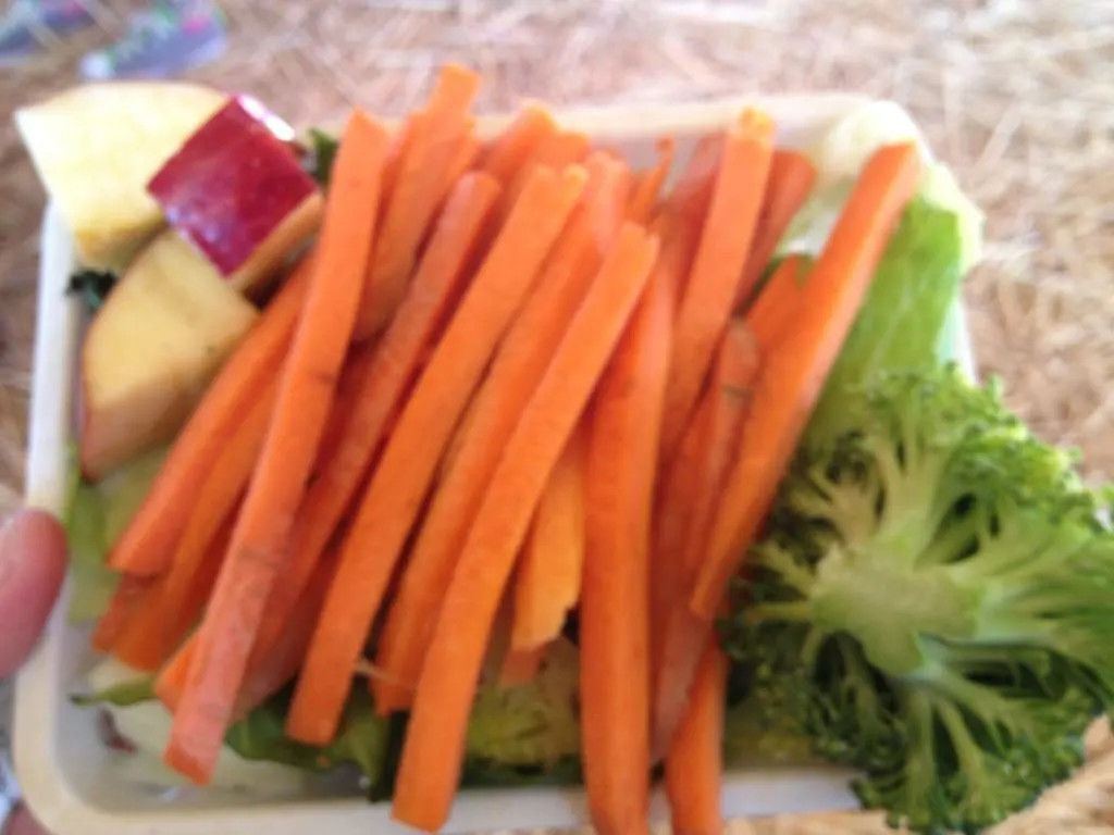 Kids sharing a basket of vegetables to feed animals at Zoomars River Street Ranch
