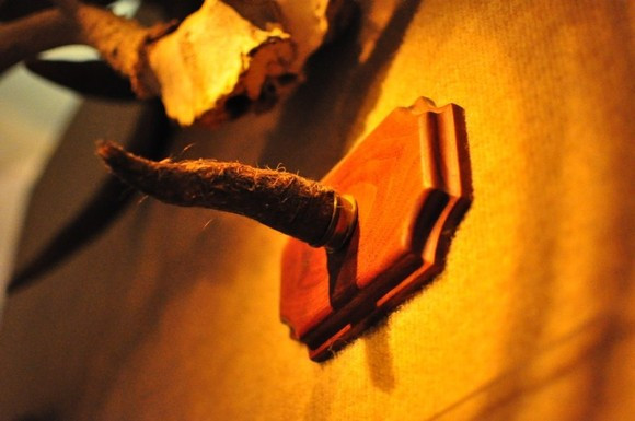 Hairy human horn exhibit at the Museum of Jurassic Technology near Rush Street Culver City