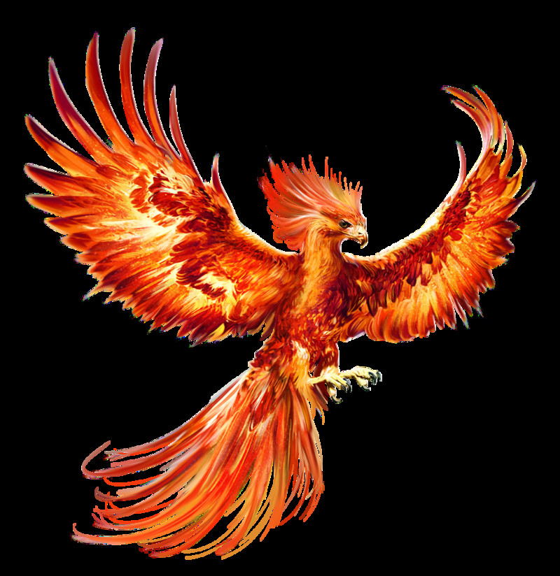 A vibrant phoenix artwork symbolizing rebirth and transformation at the How Weird Street Faire