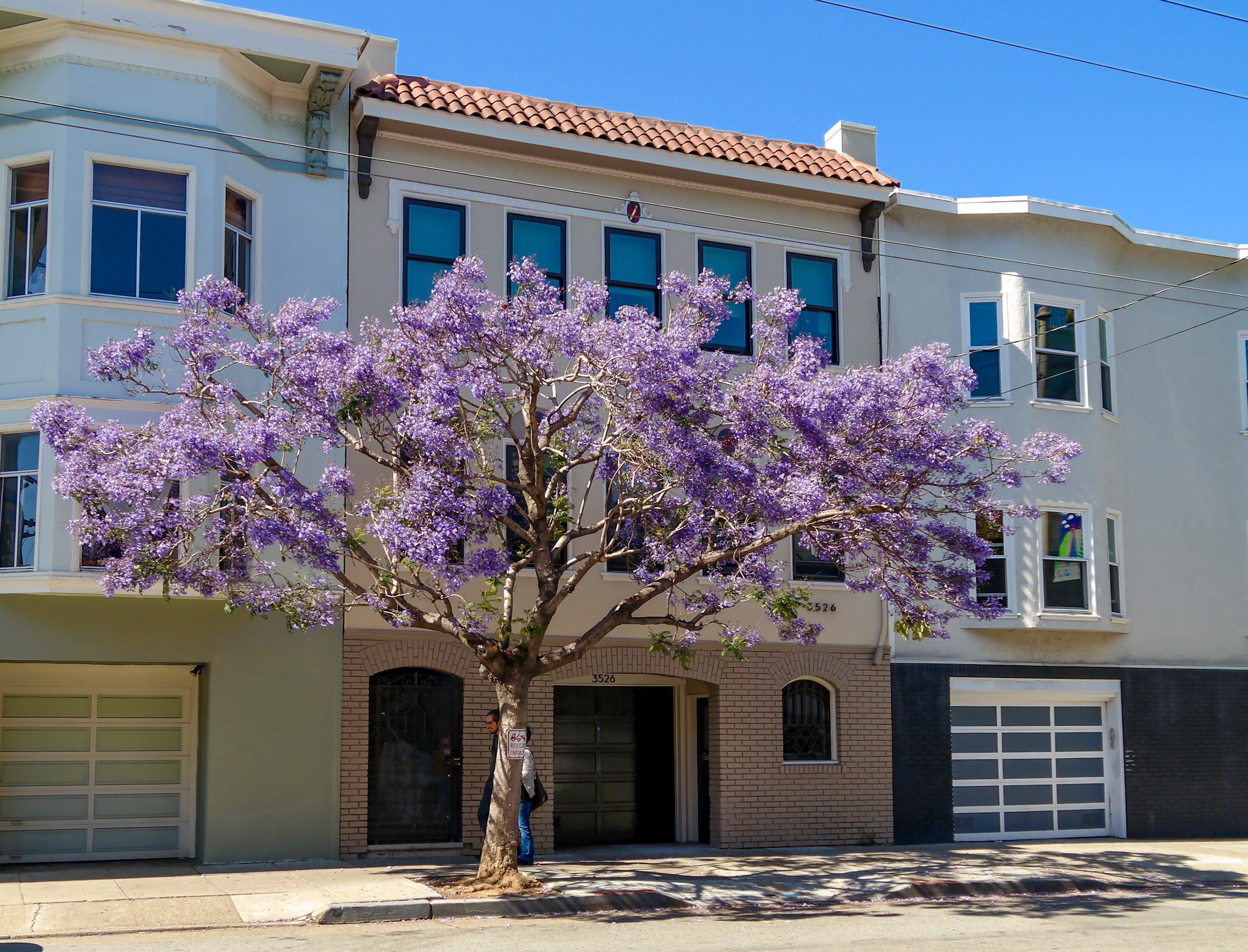 San Francsico Mission District with kids