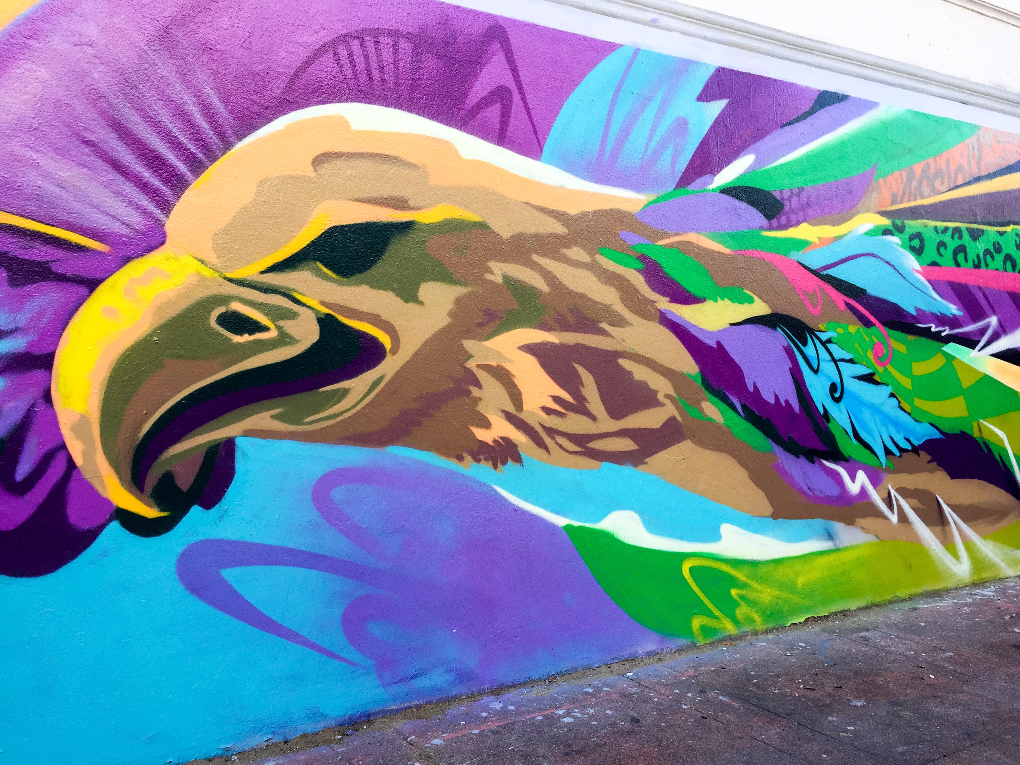 Mission District San Francisco Street Art fnnch