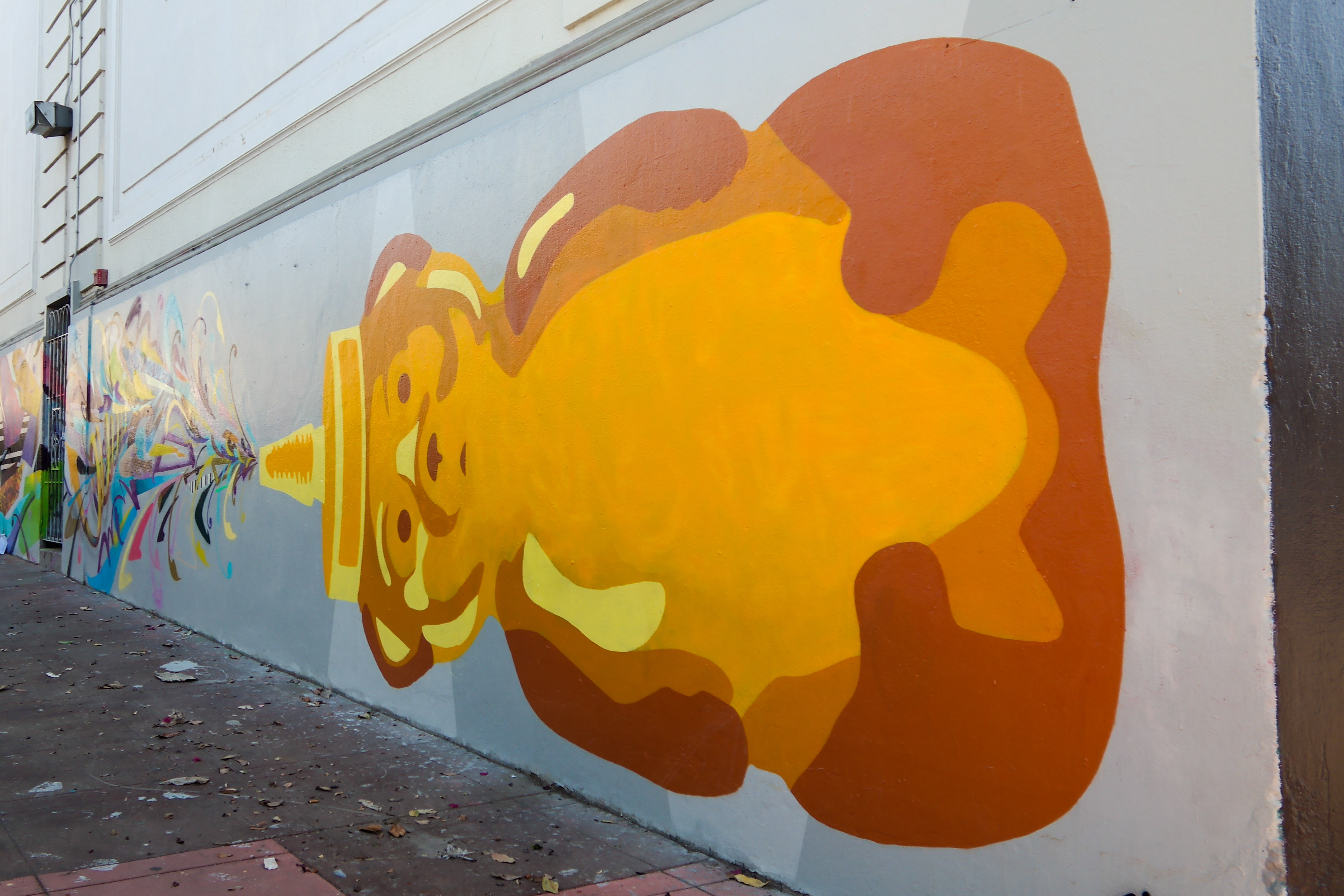 Mission District San Francisco Street Art fnnch
