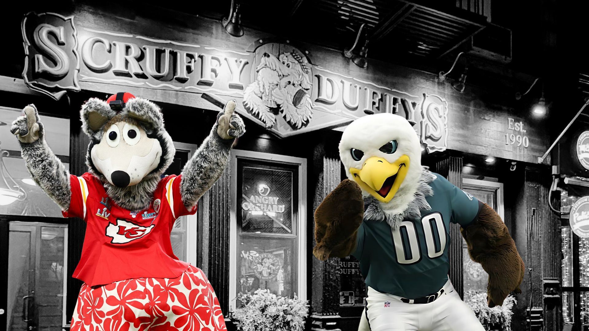 Super Bowl Photo Collage