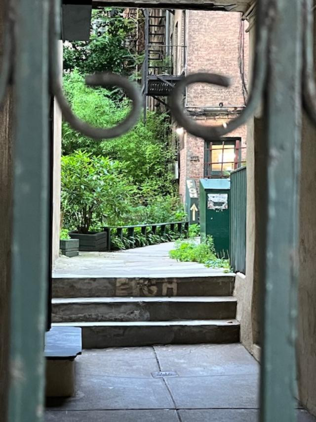Hidden Garden Behind a Doorway