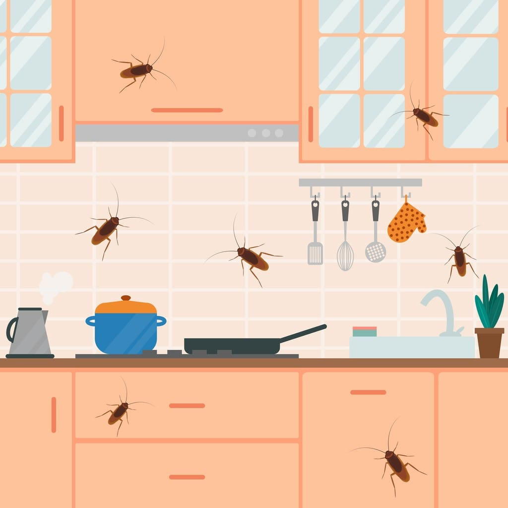 Cockroaches scurrying around a dirty kitchen