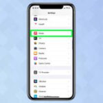 A screenshot from an iPhone showing the Settings menu with Music selected
